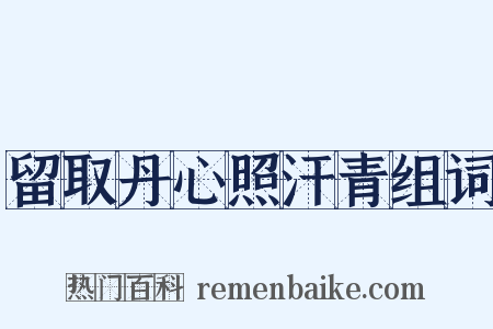 留取丹心照汗青组词是什么意思的图片